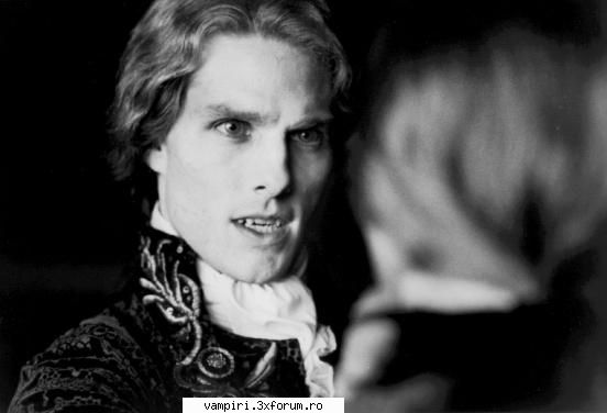Lestat - Bee - Poze